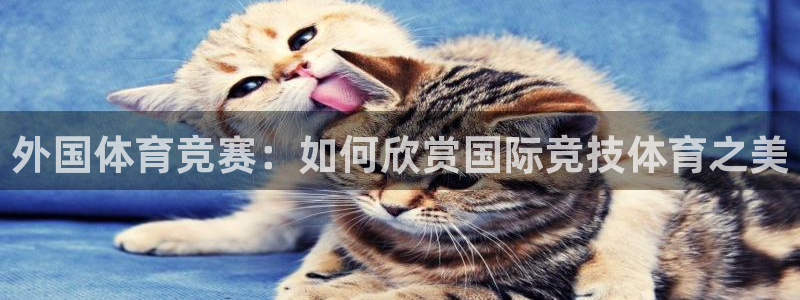 三亿体育登录
