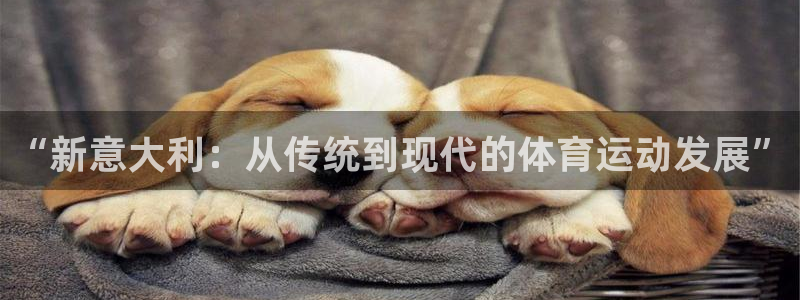 三亿体育登录
