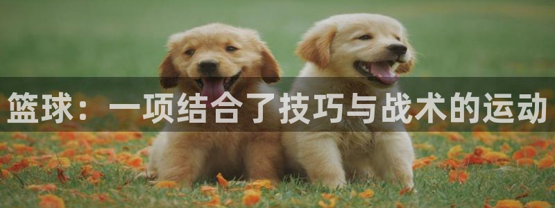 三亿体育网页版