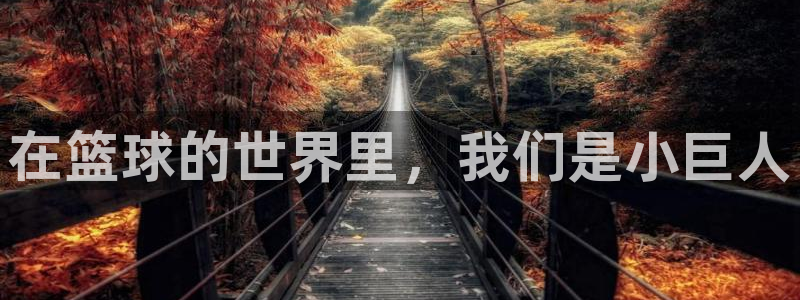 三亿体育登录