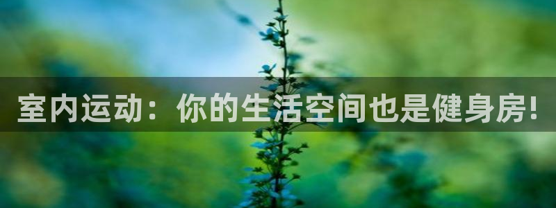 三亿体育