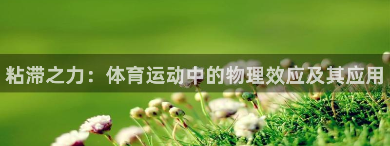 三亿体育网页版