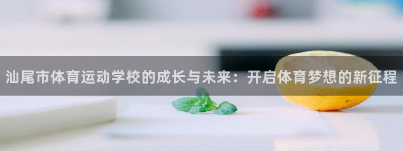 三亿体育网页版