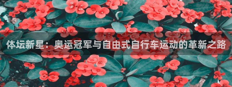 三亿体育登录