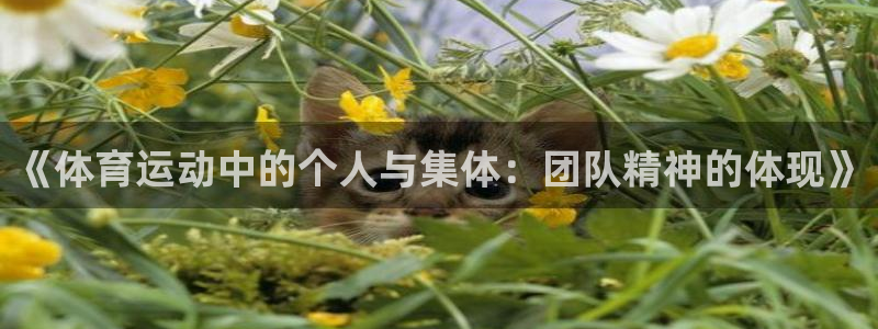 三亿体育登录