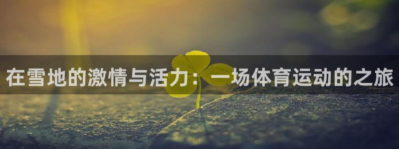 三亿体育网