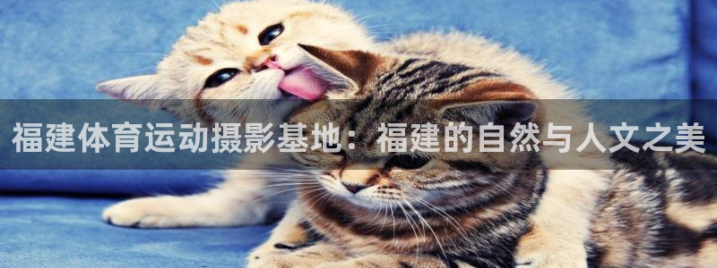 三亿体育网