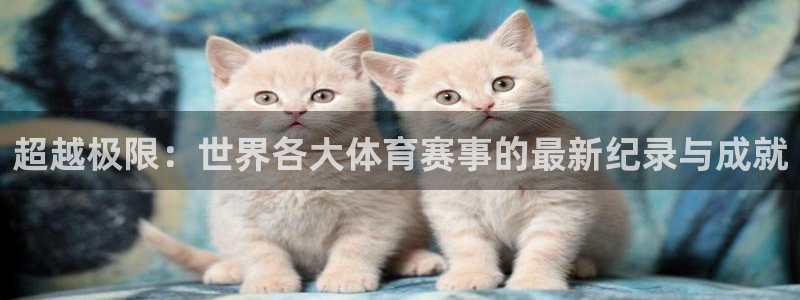 三亿体育网