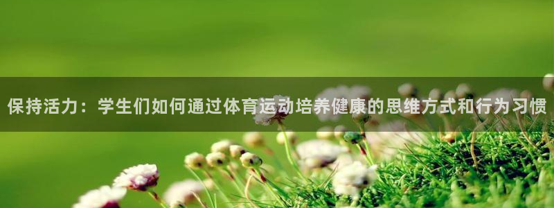 三亿体育网