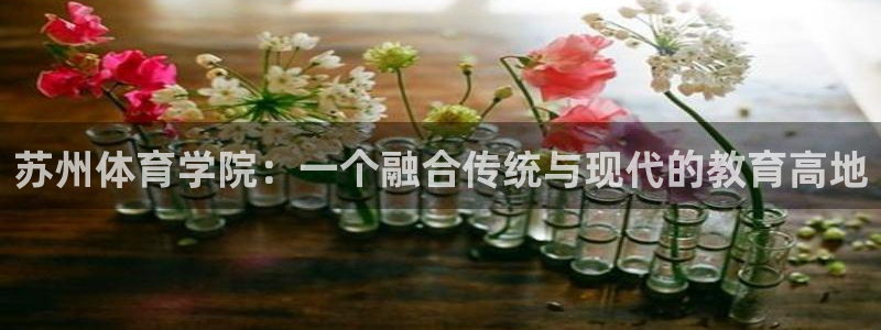 三亿体育登录