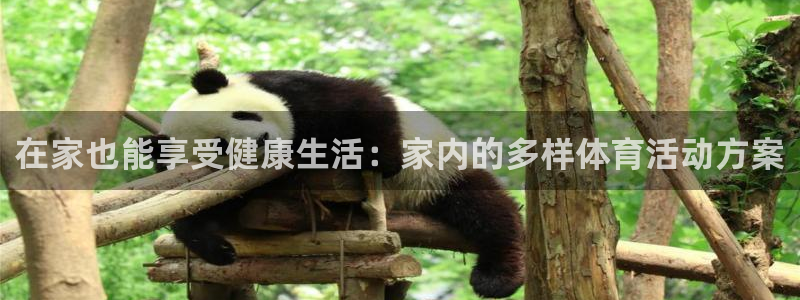 三亿体育网