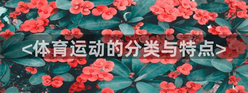 三亿体育网页版