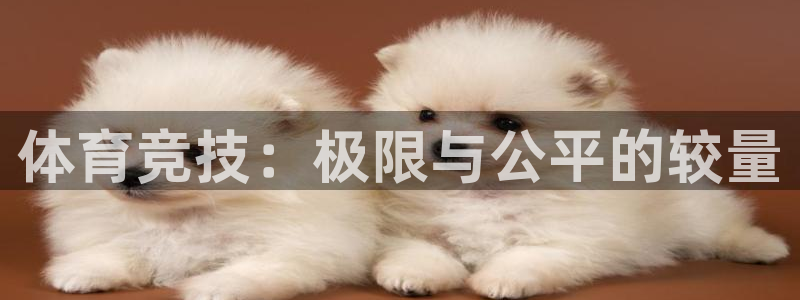 三亿体育网