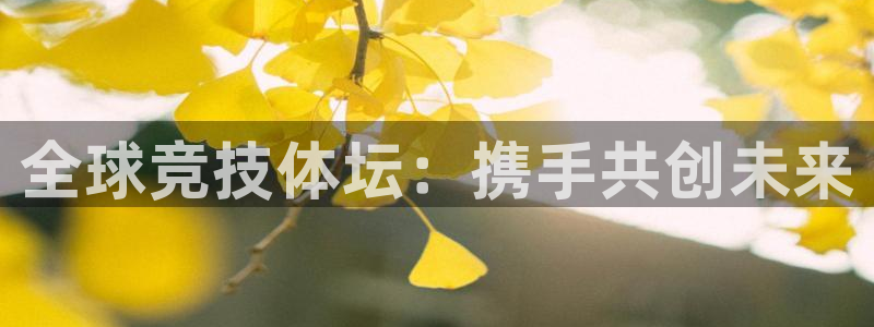 三亿体育网页版