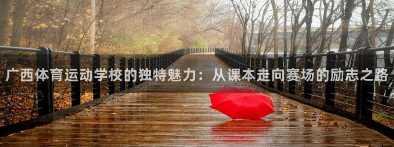 三亿体育